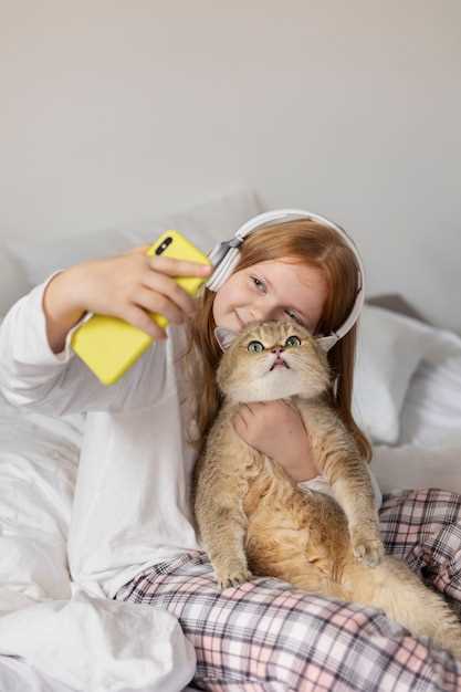 Promotion Plan for Amoxicillin for Feline Companions