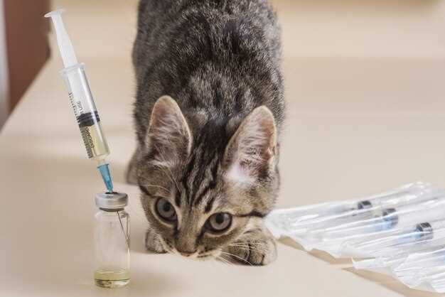 Amoxicillin in pets