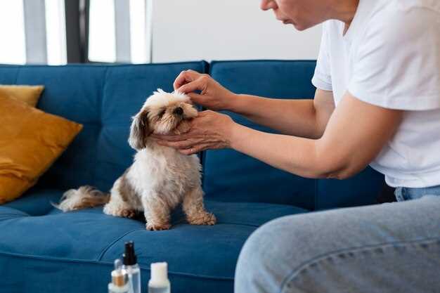 Can amoxicillin be used to treat lyme disease in dogs